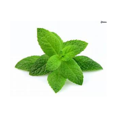 M-čaj mentha piperita list 50g