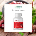 Bio Šipurak prah 100g